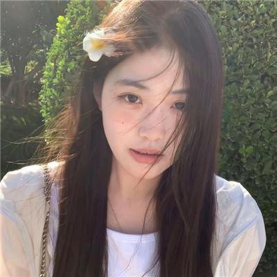 后宫之乌